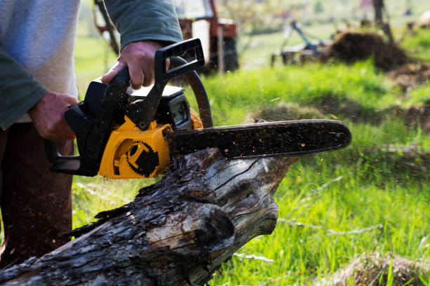 Leaf Removal in Port Washington, WI